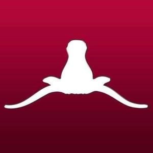 Meet your Posher, Chad